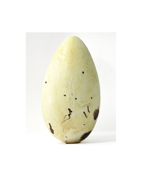 Great Auk No.42 - Museum Egg (with stand)
