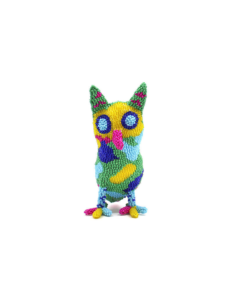 Little Owl (Pink Beaked)