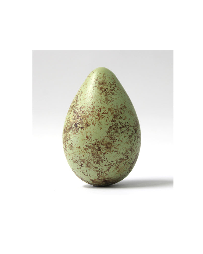 Curlew - Museum Egg (with stand)