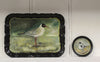 Black-headed Gull | Hand Painted Tray