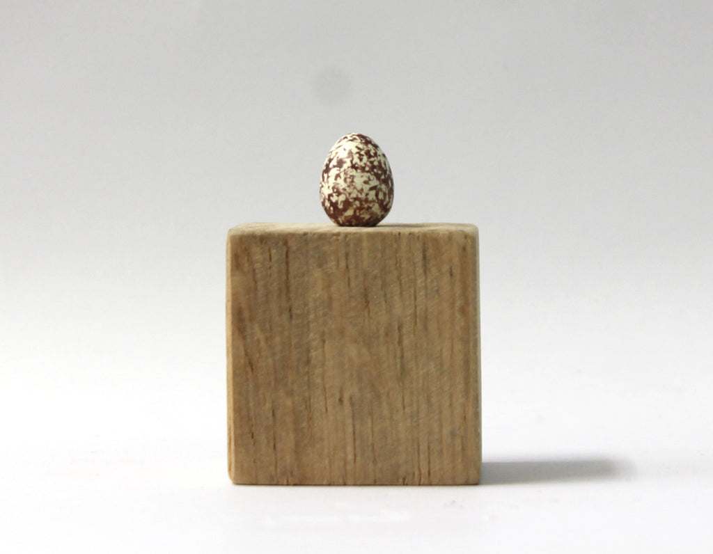 Wood Warbler - Museum Egg (with stand)