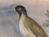 Original Framed Painted Panel - Green Woodpecker Pair