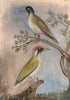 Original Framed Painted Panel - Green Woodpecker Pair