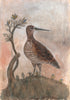 Original Framed Painted Panel - The Woodcock