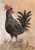 Original Framed Painted Panel - The Rooster