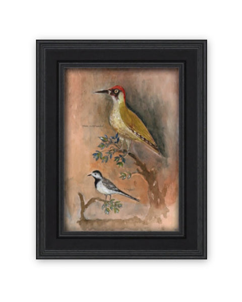 Original Framed Painted Panel - Green Woodpecker & Wagtail