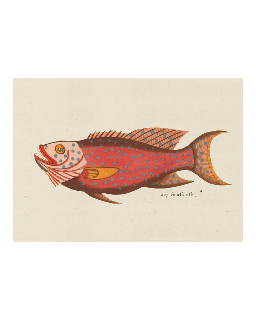 Folk Art Fish No13