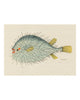 Folk Art Fish No16