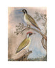 Painted Bird | Green Woodpecker Pair