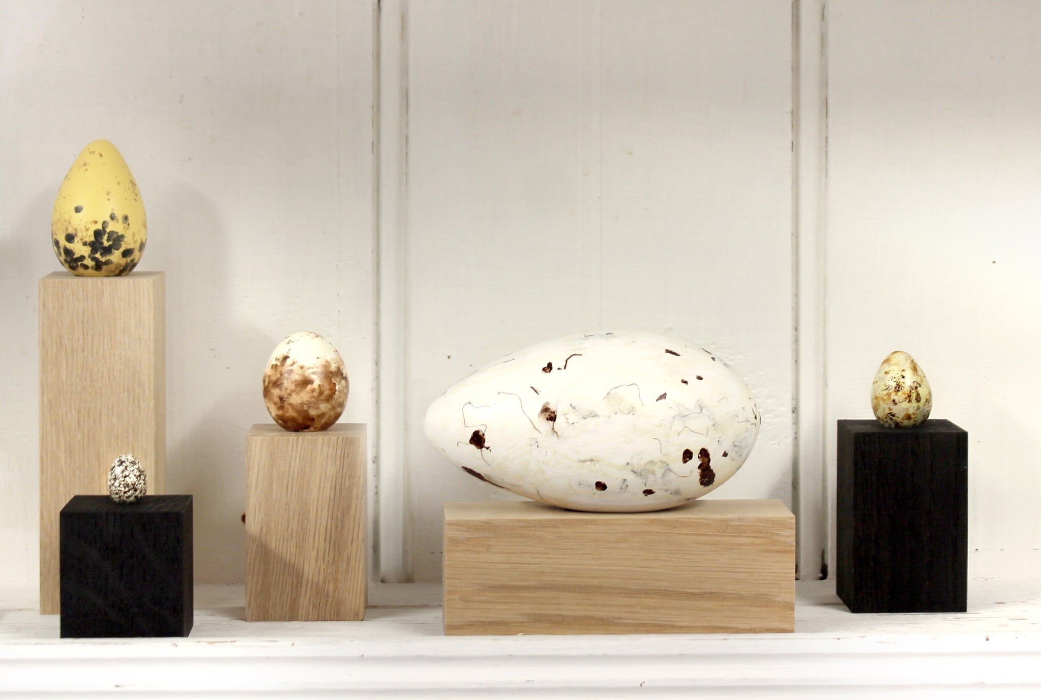 Great Auk No.38 - Museum Egg (with stand) – THE SHOP FLOOR