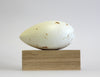 Great Auk (Brown) - Museum Egg (with stand)