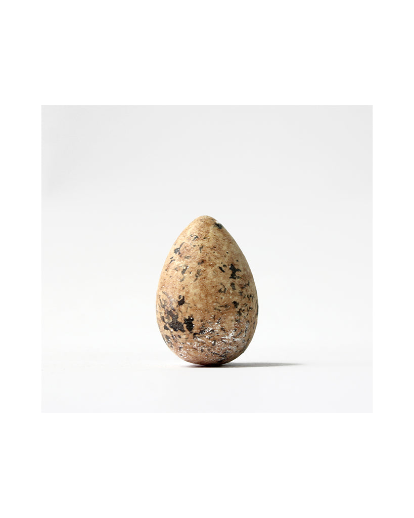 Ringed Plover (Rust) - Museum Egg (with stand)