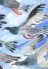 London Pigeons (Limited Edition Print)