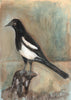 Painted Bird | Magpie No.2