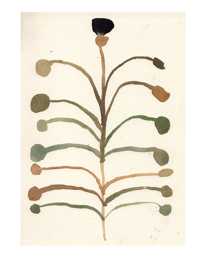 The Botanist No. 2 (Print)