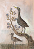 Painted Bird | Pair of Birds