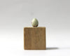 Chaffinch - Museum Egg (with stand)