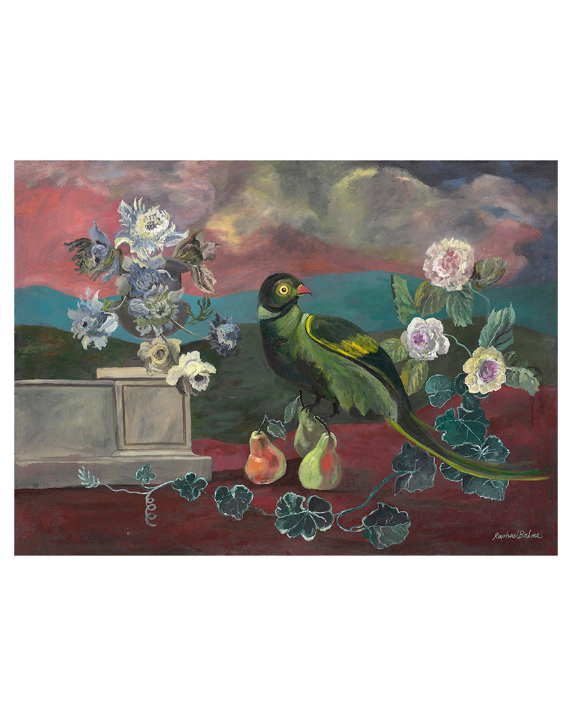 Parrot with Pears (Limited Edition Print)