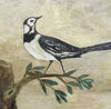 Original Painted Panel - Pied Wagtail