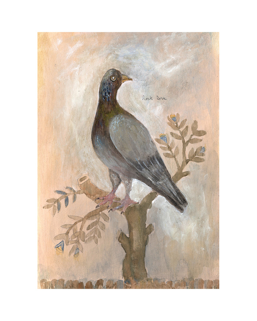 Painted Bird | Rock Dove