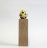 Sandwich Tern (Light Ochre) - Museum Egg (with stand)