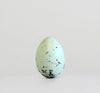 Siskin - Museum Egg (with stand)