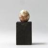 Sparrow Hawk - Museum Egg (with stand)