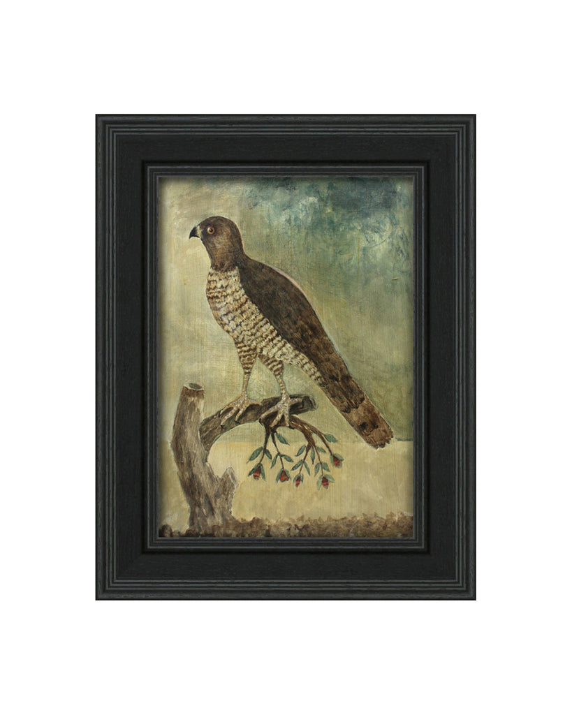 Original Painted Panel - Sparrowhawk