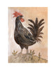 Painted Bird | The Rooster