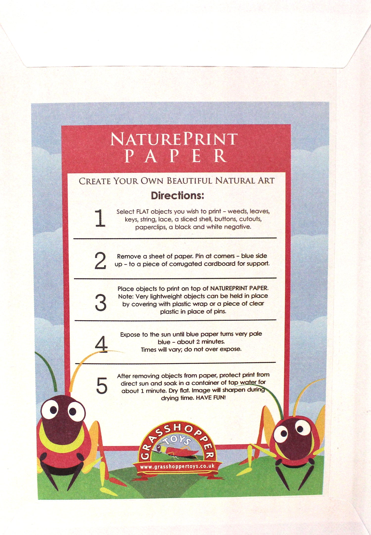 Nature Print Sun Paper – THE SHOP FLOOR PROJECT ltd