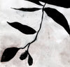 Ruskin's Garden: Azalea New Buds